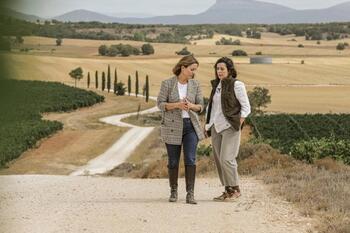 La apuesta por los vinos ecológicos en la Ribera sube un 30%