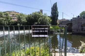 El río Arlanzón está sano en la zona de baño de Pampliega