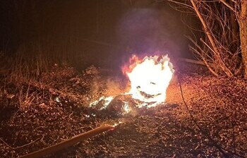 Denunciados por quemar un neumático entre árboles en Villímar