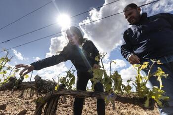 Más de 10 millones en pagos por heladas y granizo en la vid