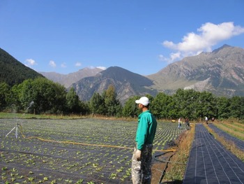 España, de nuevo líder en superficie ecológica de la UE