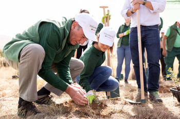 Voluntarios de Iberdrola plantan 800 árboles en Solosancho | Noticias  Diario de Burgos